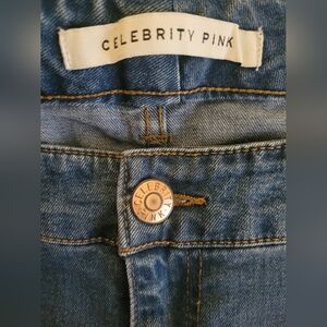 Celebrity Pink Blue Denim Jean Shorts